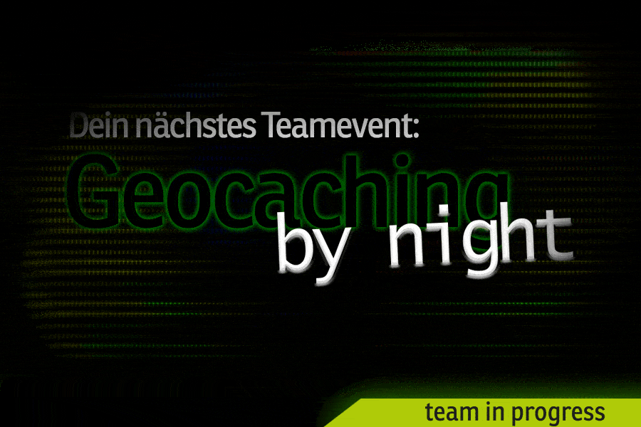 Nightcaching Geocaching Rätesralley Teamevent Weihnachtsfeier Firmenevent Team