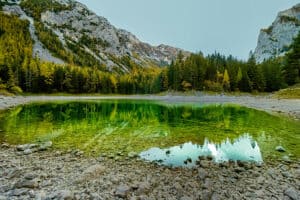 Grüner See Blogartikel Headerbild